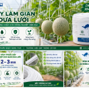 Dây làm giàn dưa lưới nên chọn loại nào? Kích thước bao nhiêu là phù hợp?
