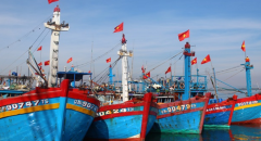 Tàu Thuyền Bình ĐỊnh