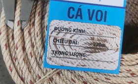 Tìm hiểu về Dây thừng Cá Voi