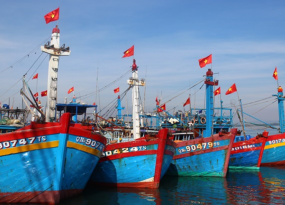 Tàu Thuyền Bình ĐỊnh