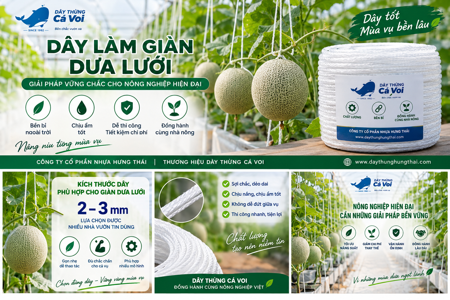 Cách buộc dây treo dưa lưới đúng kỹ thuật